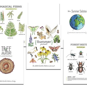 Sommerlernpaket - Einheitsstudie, Naturstudie, Charlotte Mason