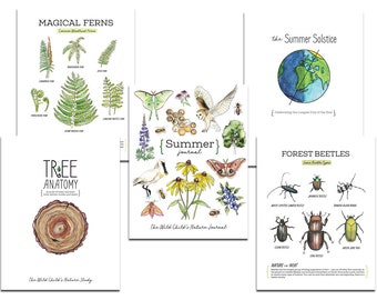 May include: A set of printable nature journals for kids. The covers feature illustrations of ferns, a tree cross-section, a summer solstice scene, and forest beetles. The text on the covers reads "Magical Ferns", "Tree Anatomy", "The Summer Solstice", and "Forest Beetles".