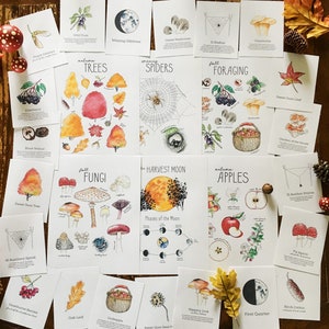 Pode incluir: Um conjunto de 18 ilustra&ccedil;&otilde;es de aquarela com temas outonais, incluindo &aacute;rvores, aranhas, coleta, cogumelos, ma&ccedil;&atilde;s e a lua da colheita. Cada ilustra&ccedil;&atilde;o &eacute; rotulada com seu nome e uma breve descri&ccedil;&atilde;o.