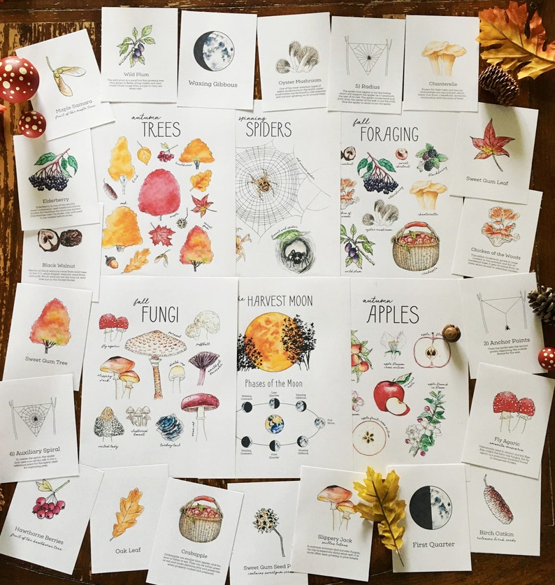 Pode incluir: Um conjunto de 18 ilustra&ccedil;&otilde;es de aquarela com temas outonais, incluindo &aacute;rvores, aranhas, coleta, cogumelos, ma&ccedil;&atilde;s e a lua da colheita. Cada ilustra&ccedil;&atilde;o &eacute; rotulada com seu nome e uma breve descri&ccedil;&atilde;o.