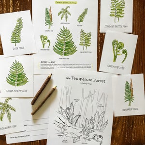 Forest Ferns Nature Journaling Pack - Homeschool Printable Nature Study Charlotte Mason