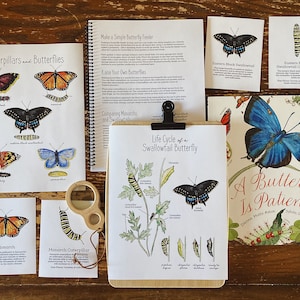 Pode incluir: Um conjunto de materiais educativos para aprender sobre borboletas, incluindo um livro intitulado "A Butterfly Is Patient", um gr&aacute;fico do ciclo de vida e v&aacute;rios cart&otilde;es com ilustra&ccedil;&otilde;es de diferentes borboletas e lagartas. Os cart&otilde;es incluem os nomes das borboletas e lagartas, como "Monarca" e "Swallowtail preto oriental".