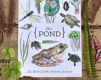 The POND - Homeschool Printable Nature Study Charlotte Mason Frog Turtle