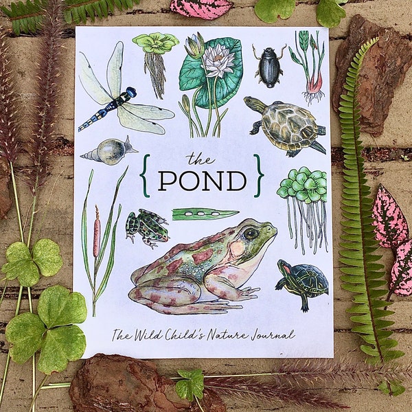 The POND - Homeschool Printable Nature Study Charlotte Mason Frog Turtle