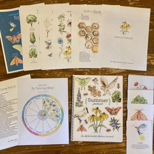 Pode incluir: Um conjunto de materiais educativos sobre a natureza para crian&ccedil;as, incluindo um di&aacute;rio de ver&atilde;o, uma roda fenol&oacute;gica, cartazes, flashcards e cart&otilde;es individuais com ilustra&ccedil;&otilde;es de insetos e animais. A capa do di&aacute;rio apresenta uma colherinha branca, uma mariposa, um vaga-lume e uma coruja-das-torres. A roda fenol&oacute;gica &eacute; um gr&aacute;fico colorido com uma &aacute;rvore no centro e 12 se&ccedil;&otilde;es que representam os diferentes meses do ano. Os cartazes e os flashcards apresentam ilustra&ccedil;&otilde;es de favos de mel, abelhas e outros temas relacionados &agrave; natureza.