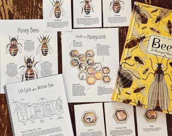 Honey Bees Mini Unit - Nature Study Charlotte Mason Homeschool Printable