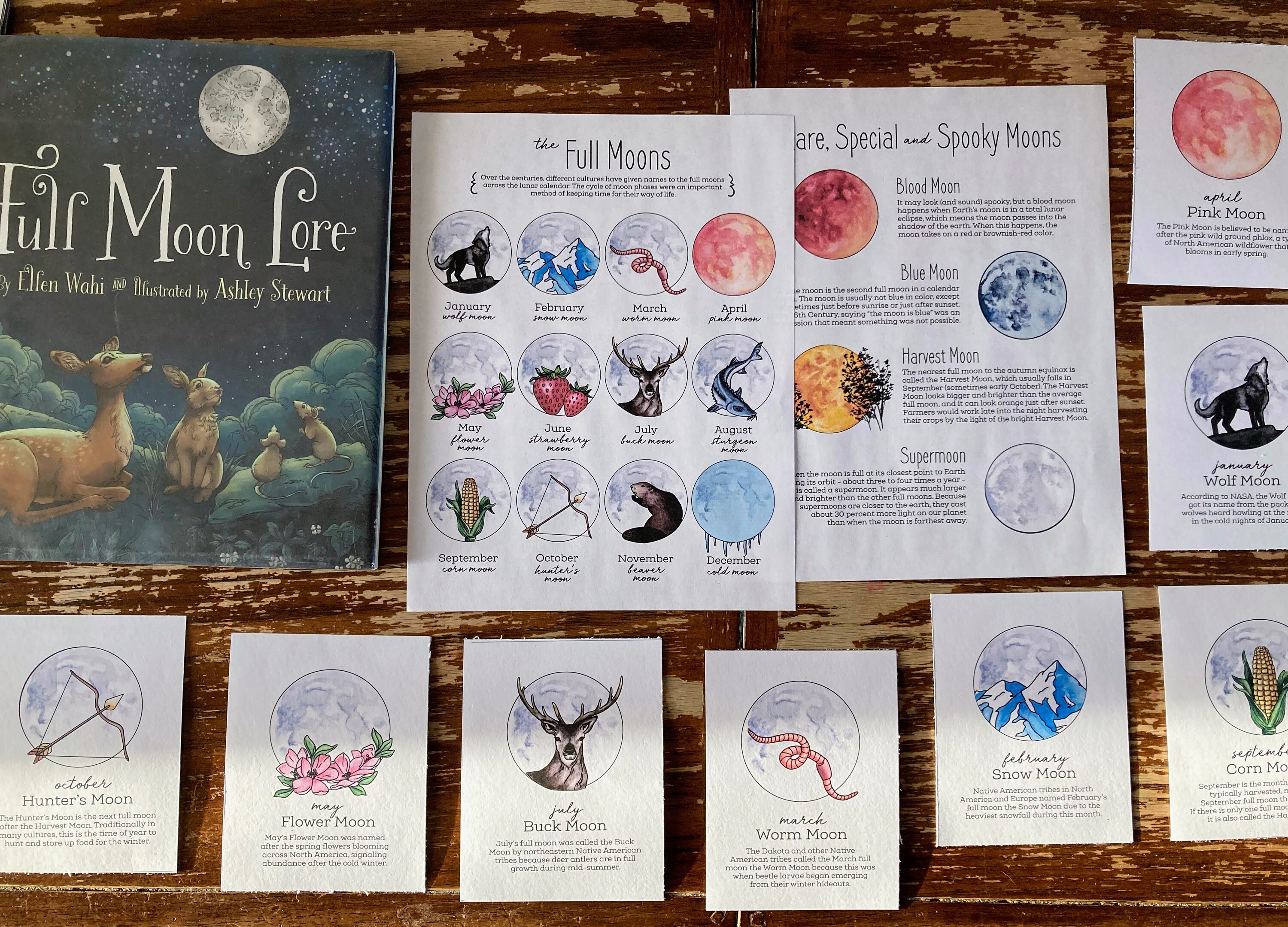 NEW! the Moon Nature Study - Etsy