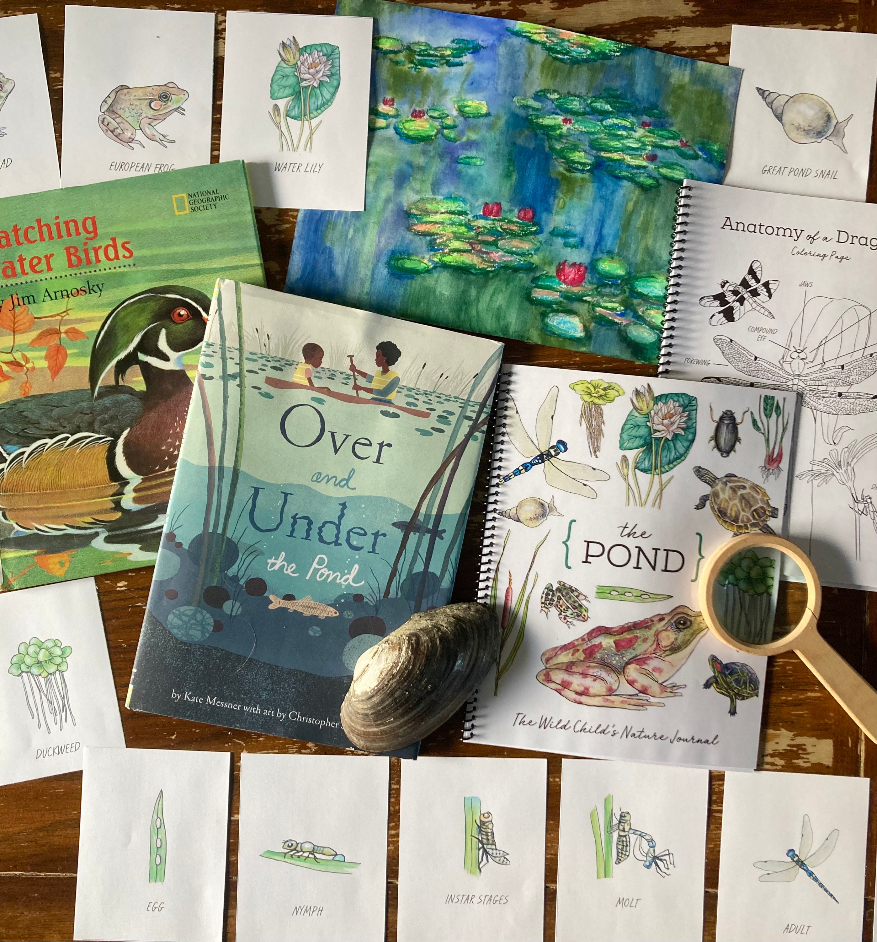 The POND - Homeschool Printable Nature Study Charlotte Mason Frog ...