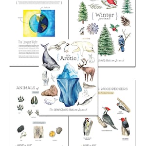 Winter-Lernbündel - Einheitsstudie, Naturstudie, Charlotte Mason