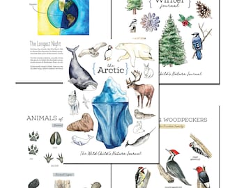 Pacote de aprendizagem de inverno - Estudo de unidade, estudo da natureza, Charlotte Mason