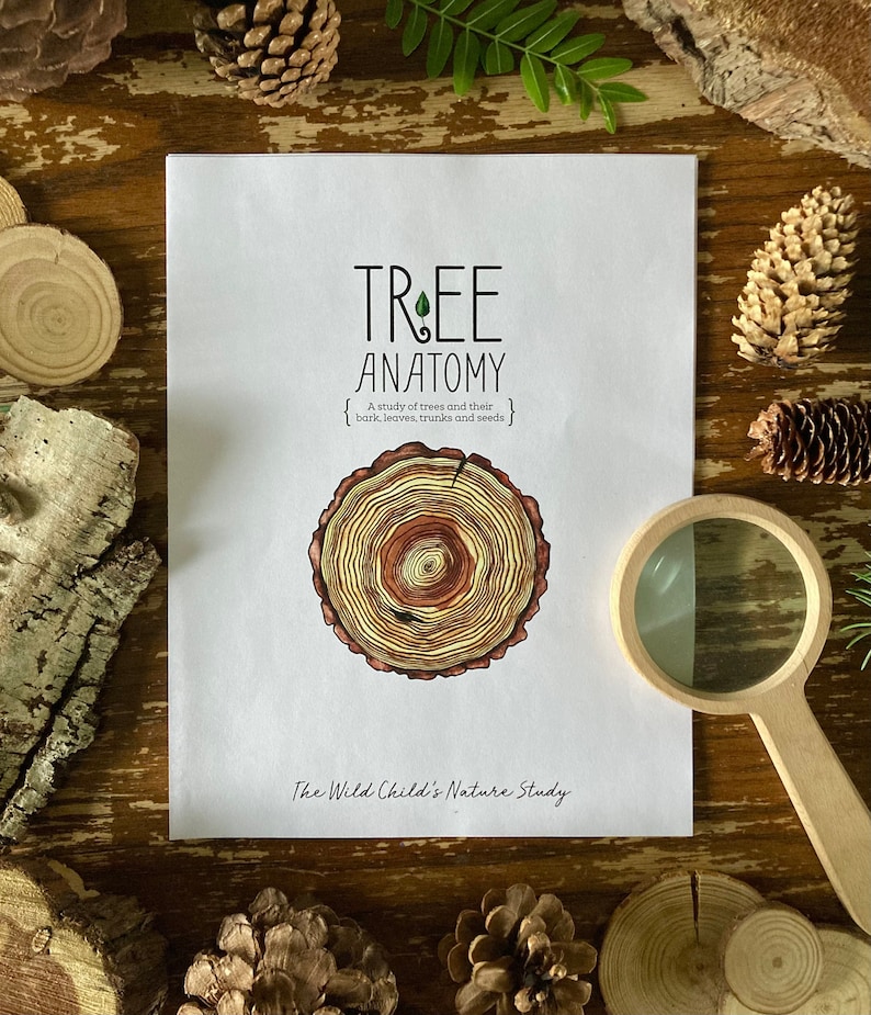 May include: A printable nature study guide titled "Tree Anatomy" with a hand-drawn illustration of a tree cross-section showing the rings. The text reads "A study of trees and their bark, leaves, trunks and seeds." and "The Wild Child's Nature Study".
