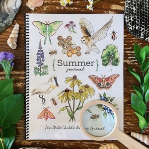 SUMMER Journal - Homeschool Printable Charlotte Mason Nature Study