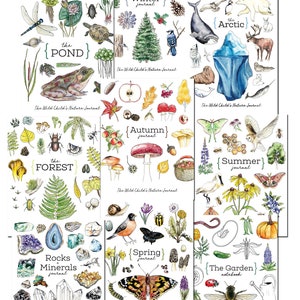 Nature Journal BUNDLE
