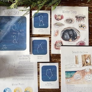 Pode incluir: Um conjunto de cart&otilde;es imprim&iacute;veis com constela&ccedil;&otilde;es e animais de inverno. Os cart&otilde;es s&atilde;o ilustrados com pinturas de aquarela sobre um fundo branco. As constela&ccedil;&otilde;es s&atilde;o etiquetadas com seus nomes e descri&ccedil;&otilde;es. Os animais s&atilde;o mostrados em seus habitats de inverno. Os cart&otilde;es s&atilde;o perfeitos para aprender sobre o c&eacute;u noturno e o mundo natural.