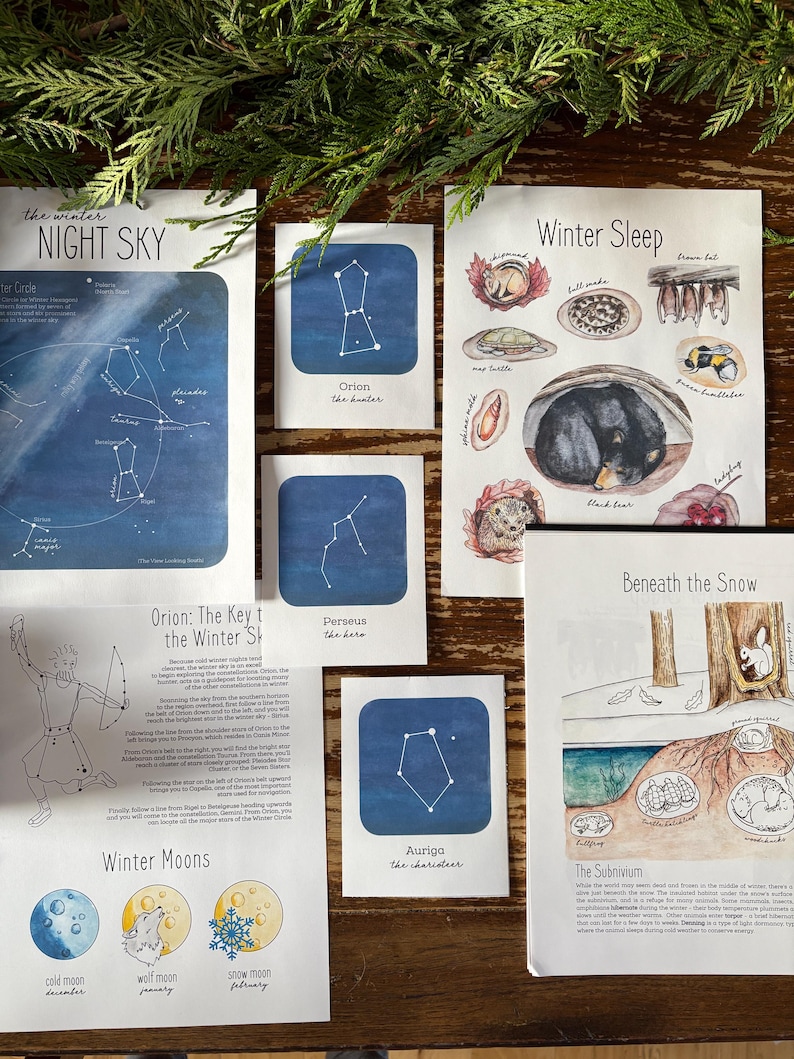 Pode incluir: Um conjunto de cart&otilde;es imprim&iacute;veis com constela&ccedil;&otilde;es e animais de inverno. Os cart&otilde;es s&atilde;o ilustrados com pinturas de aquarela sobre um fundo branco. As constela&ccedil;&otilde;es s&atilde;o etiquetadas com seus nomes e descri&ccedil;&otilde;es. Os animais s&atilde;o mostrados em seus habitats de inverno. Os cart&otilde;es s&atilde;o perfeitos para aprender sobre o c&eacute;u noturno e o mundo natural.