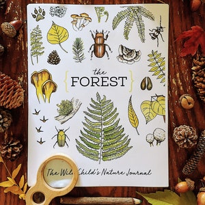 THE FOREST Nature Journal - Charlotte Mason Homeschool Printable Nature Study Trees Mushrooms Leaves