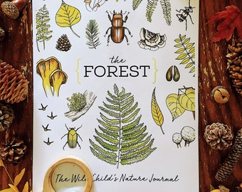 THE FOREST Nature Journal - Charlotte Mason Homeschool Printable Nature Study Trees Mushrooms Leaves