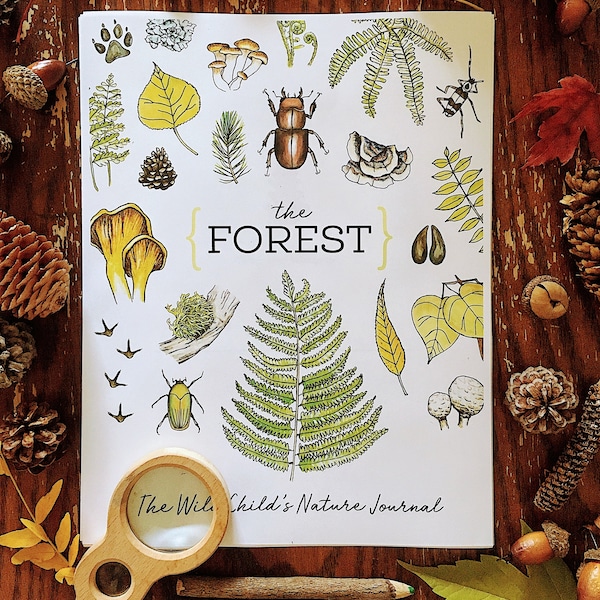 THE FOREST Nature Journal - Charlotte Mason Homeschool Printable Nature Study Trees Mushrooms Leaves