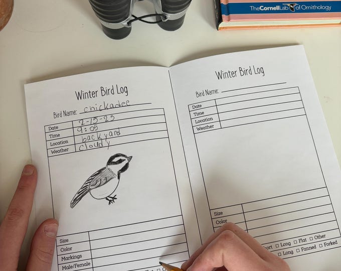 Winter Backyard Birdwatching Diary