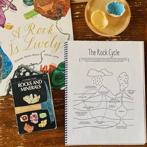 Rocks + Minerals Journal - Etsy