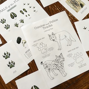 Animal Tracks Journaling Pack - Étude de la nature imprimable à la maison Charlotte Mason