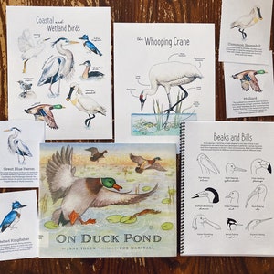 Pode incluir: Um livro infantil intitulado "On Duck Pond" de Jane Yolen com ilustra&ccedil;&otilde;es de Bob Marshall. A capa apresenta uma pintura em aquarela de um pato voando sobre um lago com nen&uacute;fares. O livro faz parte de um conjunto de materiais educativos sobre p&aacute;ssaros e seus bicos e patas.