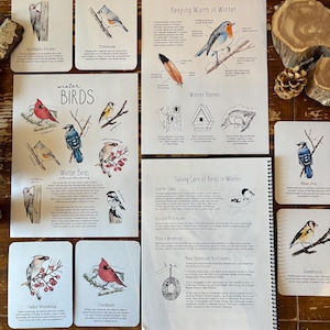 ACTUALIZADO: Mini paquete de estudio de la naturaleza sobre las aves de invierno: estudio de unidad imprimible para la educación en el hogar de Charlotte Mason