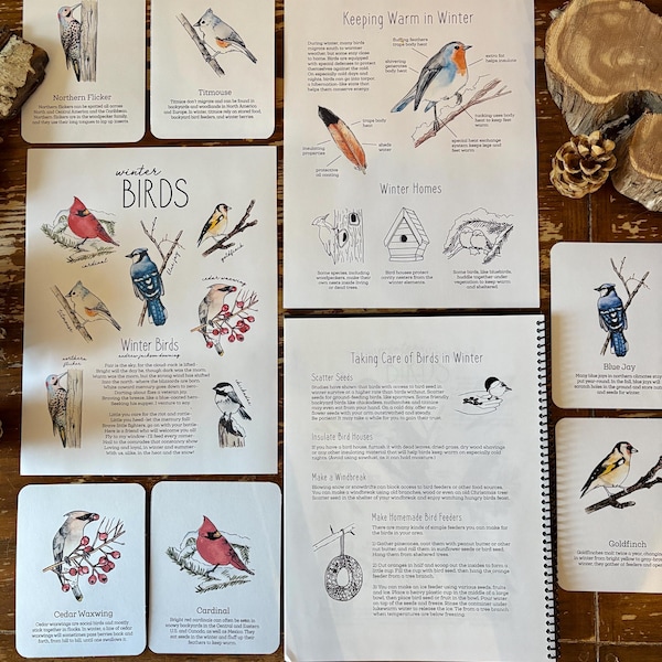 MISE À JOUR : Mini kit d'étude sur la nature Birds of Winter - Étude unitaire imprimable pour l'école à la maison de Charlotte Mason