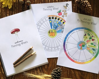 Yearly + Monthly Phenology Wheel Templates - Charlotte-Mason, Homeschool, Nature Study