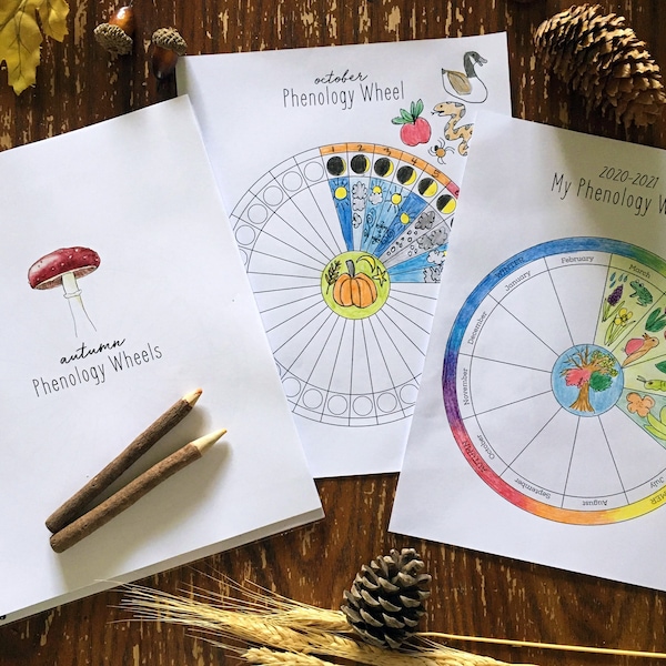 Yearly + Monthly Phenology Wheel Templates - Charlotte-Mason, Homeschool, Nature Study