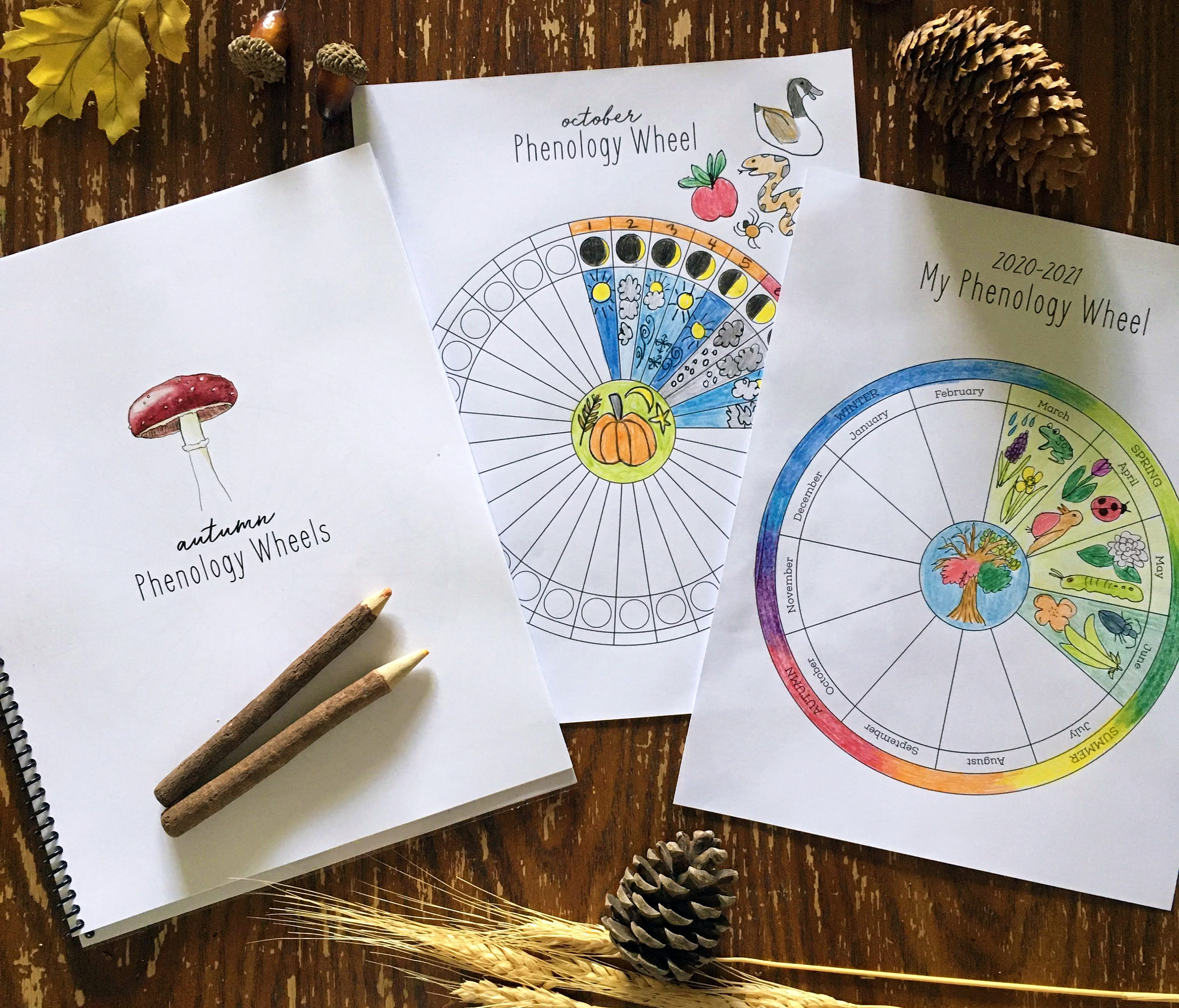 Yearly + Monthly Phenology Wheel Templates - Charlotte-Mason, Homesch…