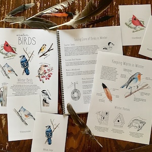 Birds of Winter Mini Nature Study Pack - Charlotte Mason Homeschool Printable Unit Study