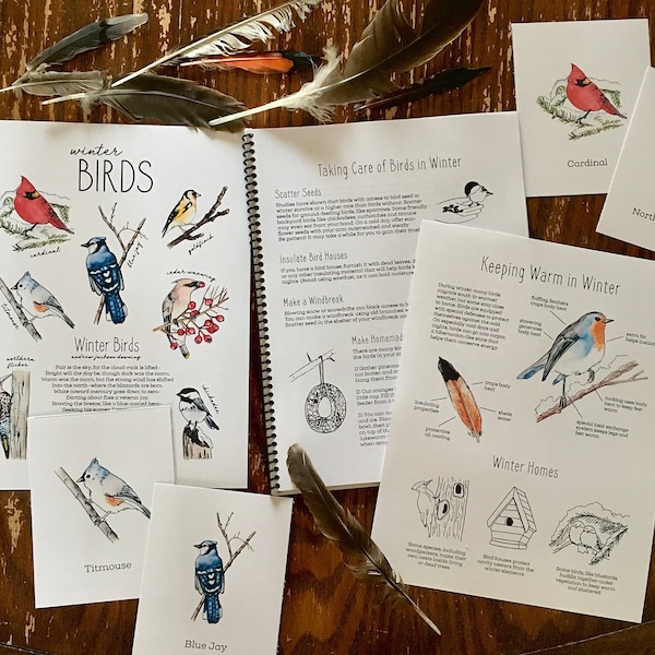 Birds of Winter Mini Nature Study Pack - Charlotte Mason Homeschool Printable Unit Study