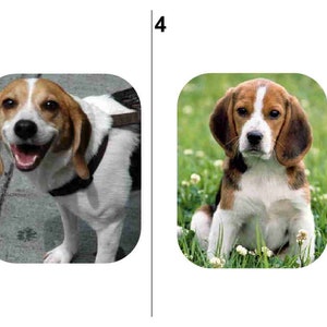 60 BEAGLE DOG return address labels....Free Shipping image 3