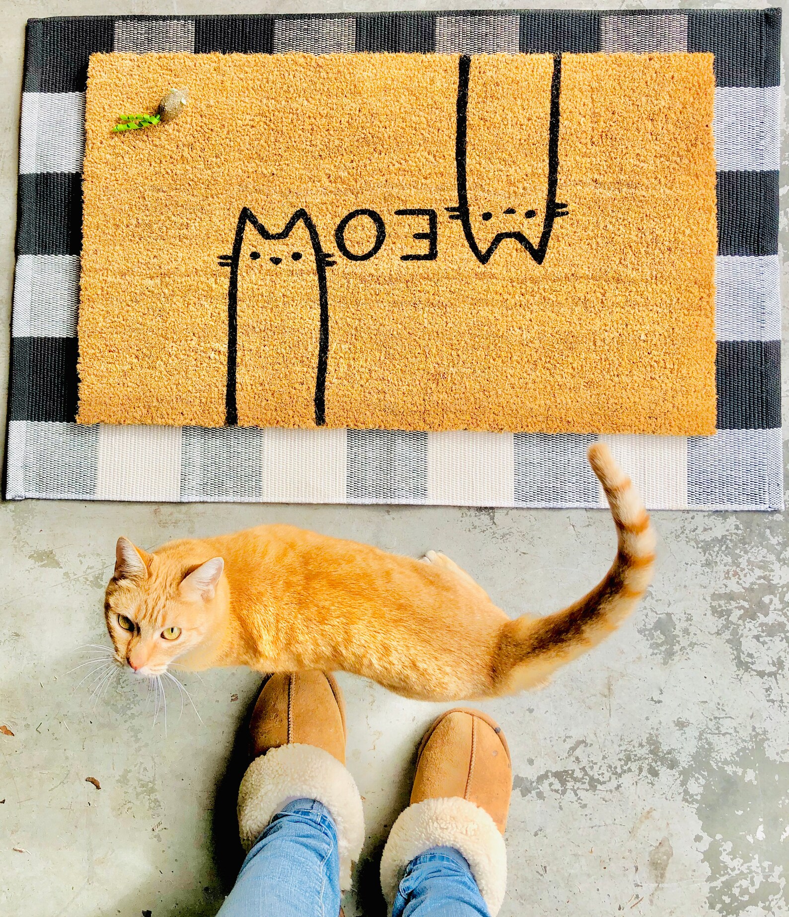 Meow Kitty Cats Doormat/funny Doormat/cat Lover Doormat/cat Etsy