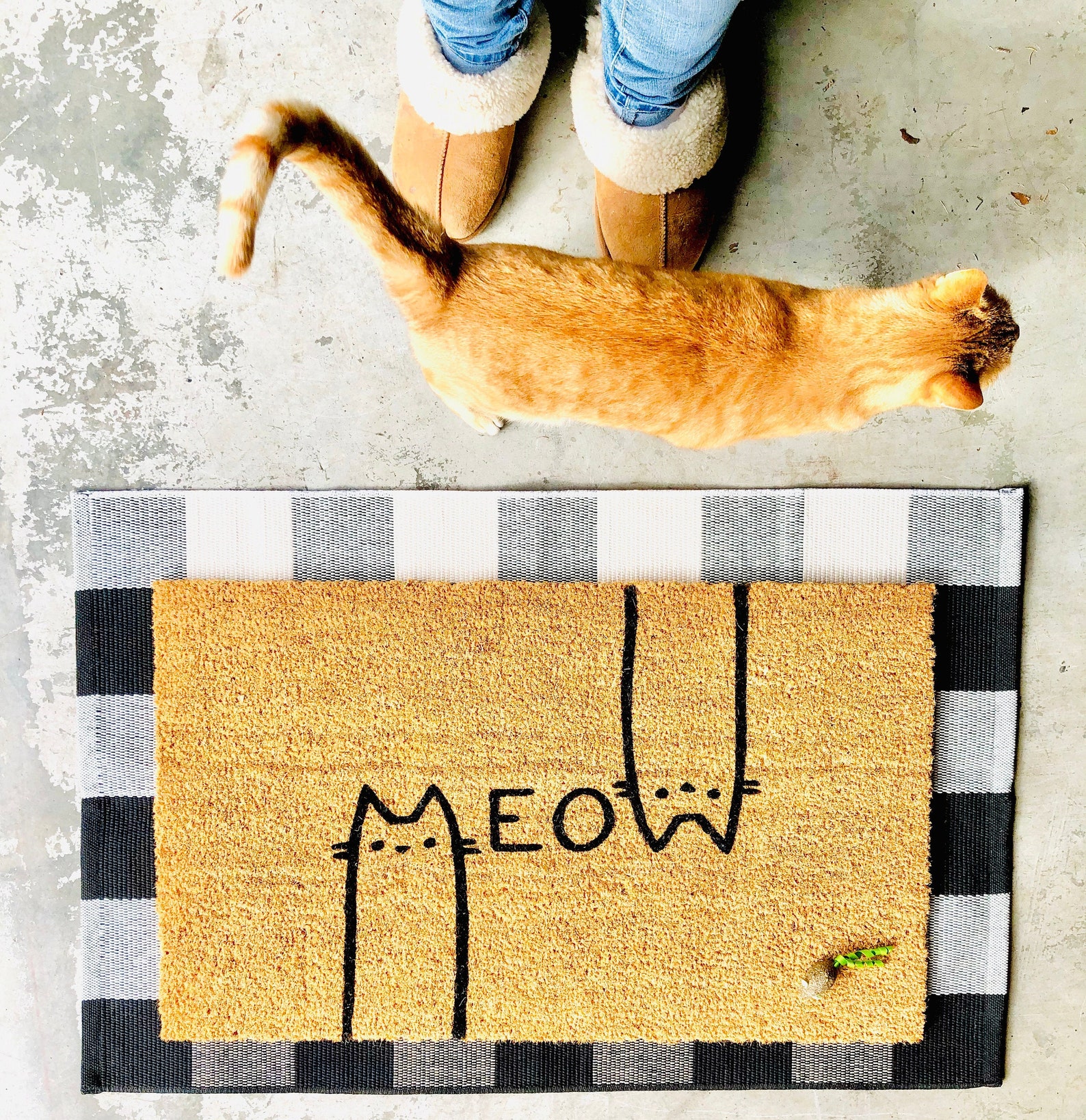 Meow Kitty Cats Doormat/funny Doormat/cat Lover Doormat/cat Etsy