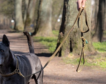 Laisse tressée en cuir, laisse de chien en cuir souple, Miles, élégant mousqueton de homard en cuir tressé, laisse de moyenne grande race carlin staffie labrador