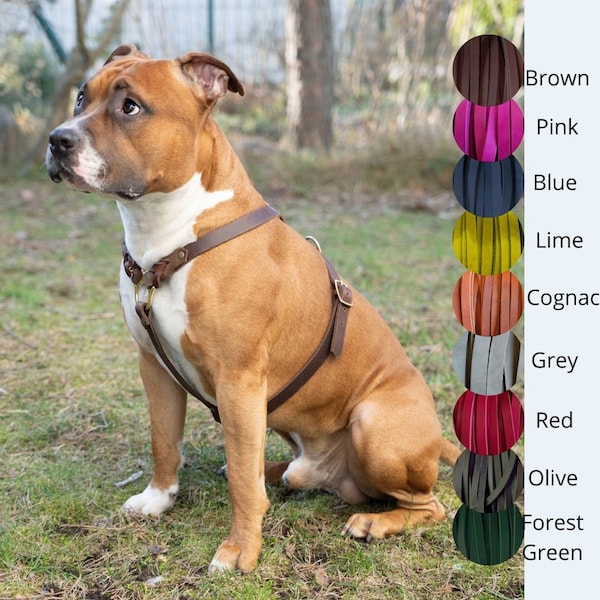 Harnais en cuir gras pour chien OURS, cuir véritable marron tanné végétal, harnais tressé, ajustement confortable pour petits ou grands chiens