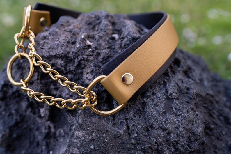 Biothane slip on half choke chain martingale dog collar Etsy