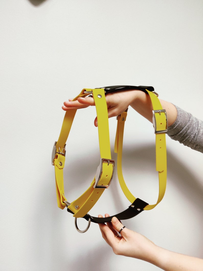 Custom dog HARNESS and LEASH SET in BioThane two tone easy Etsy