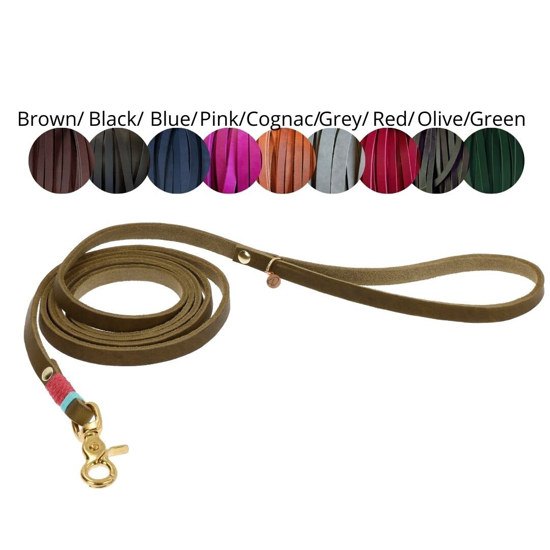 soft leather dog leash