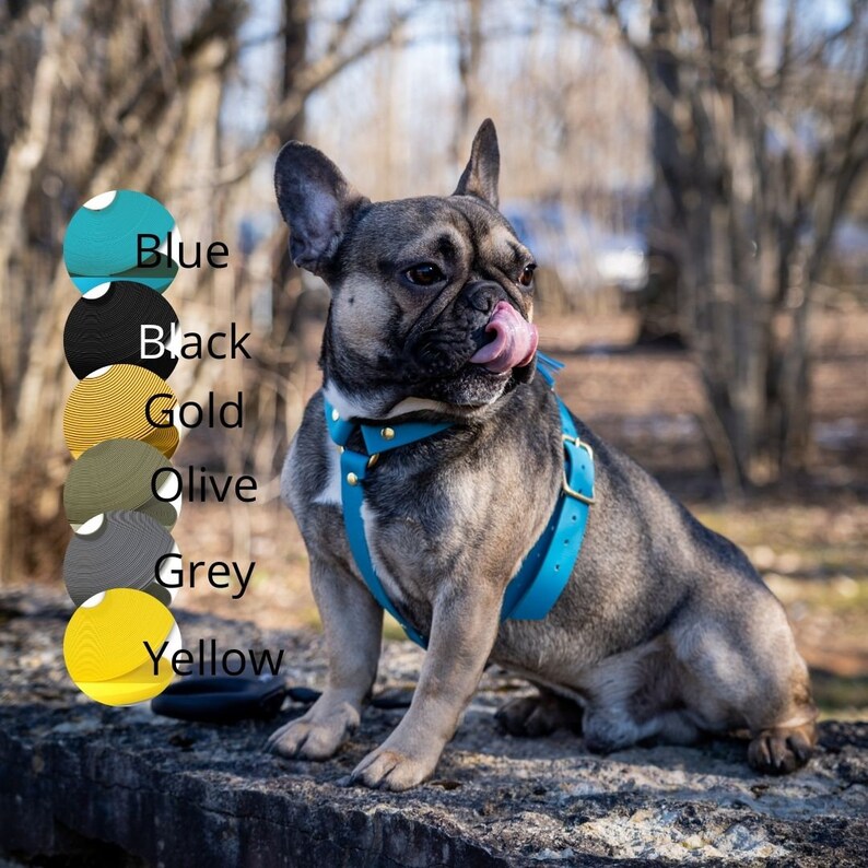 BioThane dog harness Frenchie fit waterproof harness stink Etsy