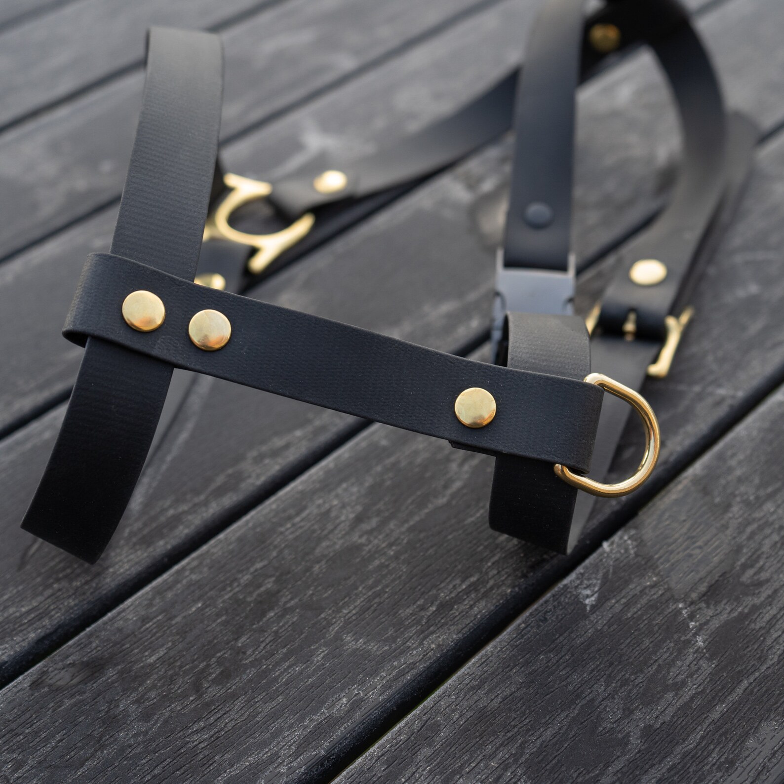 BIOTHANE DOG HARNESS Large Breeds Training Harness Biothane Etsy