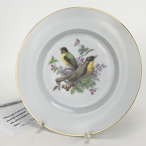 Hand painted bird painting vintage plate by Fenton China