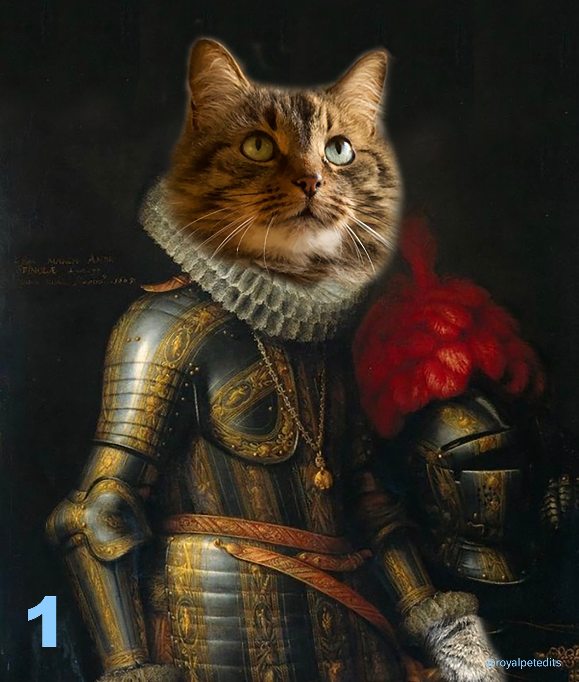 Knight cat portrait - .de