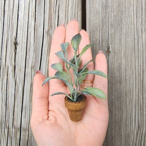 Dollhouse Miniature Potted Plant - 1/12, Outdoor, Flowers Bouquet, Miniatures 1:12, Decoration, Decor, Garden, DIY Craft, Rustic, Office