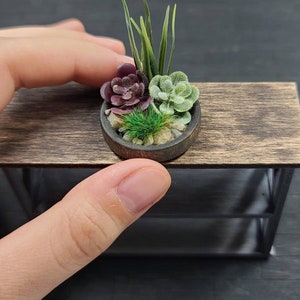 Dollhouse Miniature Succulent Arrangement - Mini Plant, Flowers Bouquet, Miniatures 1:12, Decoration, Decor, Fairy Garden, Plants