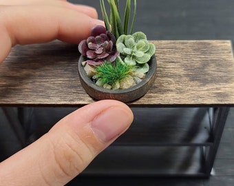 Dollhouse Miniature Succulent Arrangement - Mini Plant, Flowers Bouquet, Miniatures 1:12, Decoration, Decor, Fairy Garden, Plants