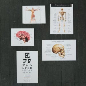 Miniature Medical Study Posters (5pc)- Dollhouse, Miniatures 1:12, Dollhouse Furniture, School, Modern, Anatomy, House Decor, DIY