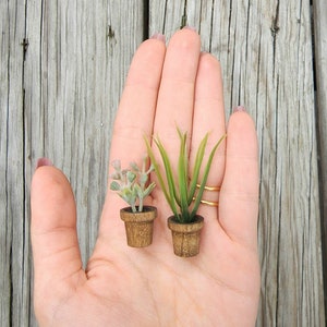 Dollhouse Potted Plants (2pc) - Rustic Brown Pot, Miniature, Fairy Garden, Accessories, Farm, Garden, Modern, Wedding, Greenery